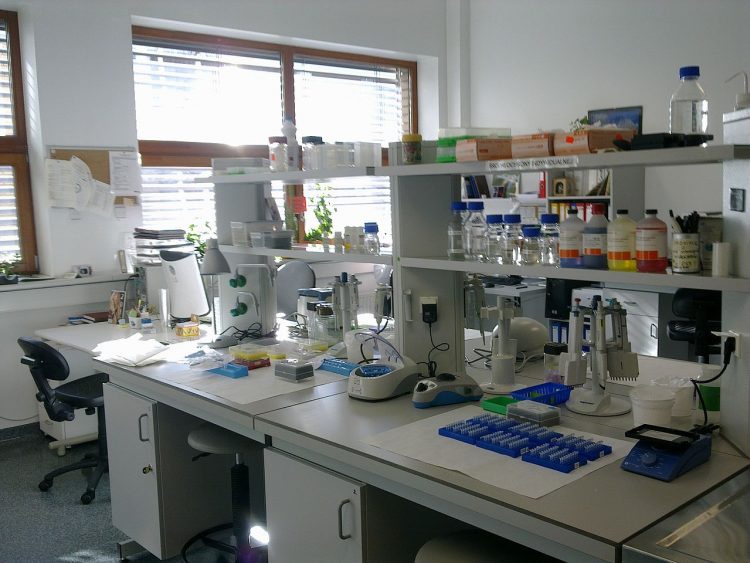 1280px Laboratorium biologia molekularna1