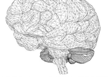 ai lab brain11