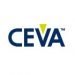 ceva
