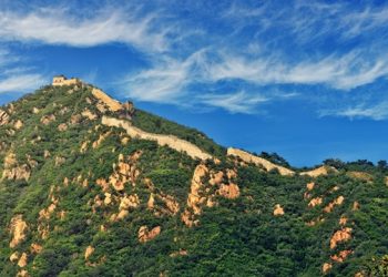 pexels photo 1423596