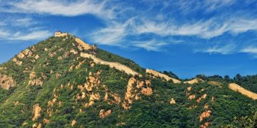 pexels photo 1423596