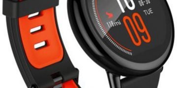 item XL 22845723 318776641