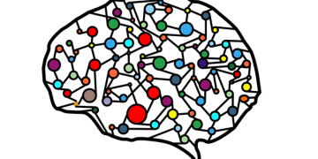 artificial neural network 3501528 640