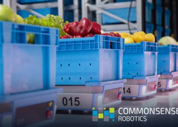 Common sense robot web 846x5601