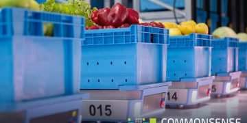 Common sense robot web 846x5601