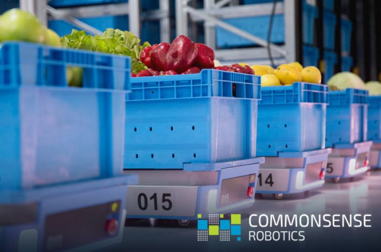 Common sense robot web 846x5601