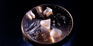 CALIBER Ear Prostheses Potomac Photonics