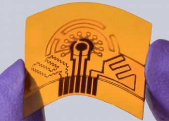 חיישן זיעה. צילום: Caltech