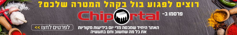 Chiportal_Banner_950x150