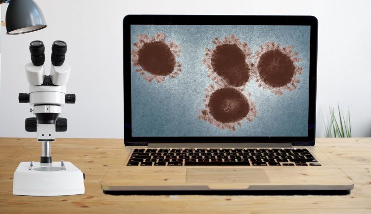 התפרצות נגיף הקורונה. איור: Image by jonathang1995 from Pixabay