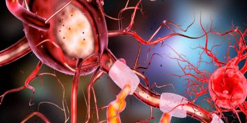 נוירונים. Image by irfan ullah from Pixabay