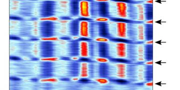 זרמים טופולוגיים וזרמים לא-טופולוגיים באפקט הול הקוונטי בגרפן (הזרמים הטופולוגיים מסומנים בחצים שחורים)