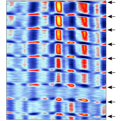 זרמים טופולוגיים וזרמים לא-טופולוגיים באפקט הול הקוונטי בגרפן (הזרמים הטופולוגיים מסומנים בחצים שחורים)
