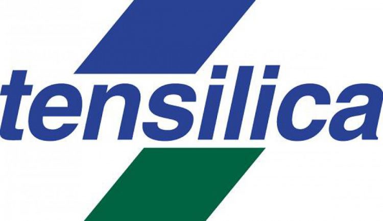 לוגו טנסיליקה. צילום יחצ, קיידנס