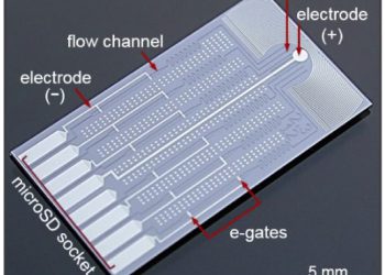 שבב מיקרופלואידי. צילום יחצ IBM