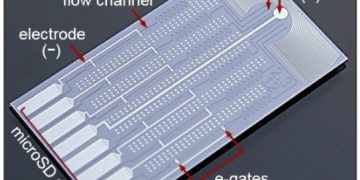 שבב מיקרופלואידי. צילום יחצ IBM