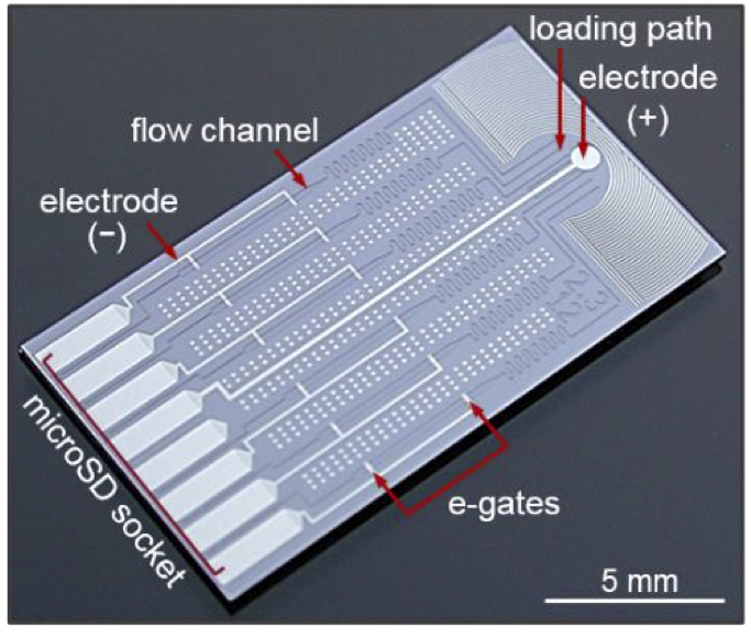 שבב מיקרופלואידי. צילום יחצ IBM