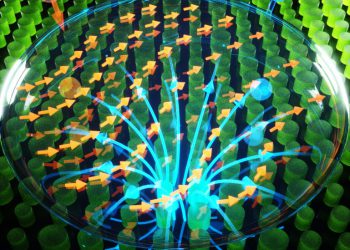 הפעלת שדה מגנטי על מבנה ננומטרי לא אחיד. מדידת אי-האחידות במבנה בסקאלה הננומטרית מבוצעת על ידי אפקט ספין הול אופטי – מדידת פיצול הספינים של הפוטונים המפוזרים מהמבנה בעזרת "מדידה חלשה" . הסביבונים (הכחול והאדום) מיצגים את שני כיווני הספינים – דרגת הסחרור של הפוטונים המפוזרים. (קרדיט איור: Ella Maru Studio)