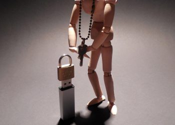 איחסון מאובטח. המחשה: Image by succo from Pixabay