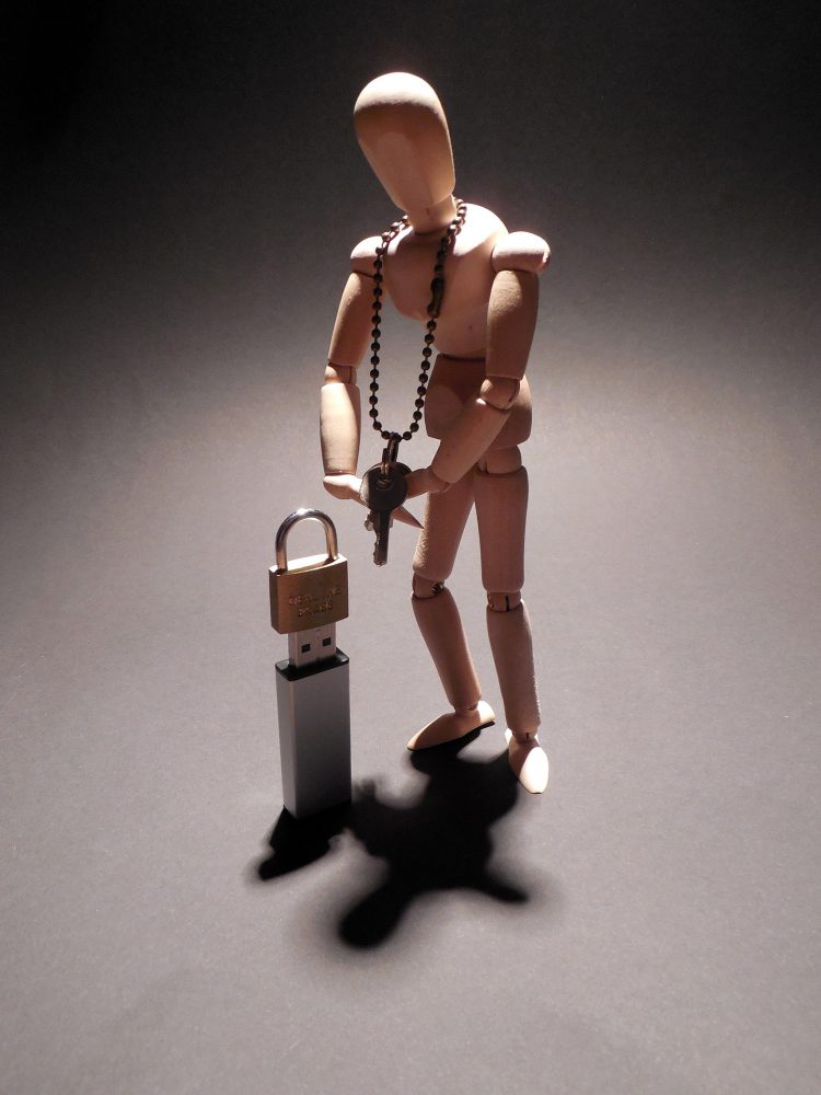 איחסון מאובטח. המחשה: Image by succo from Pixabay