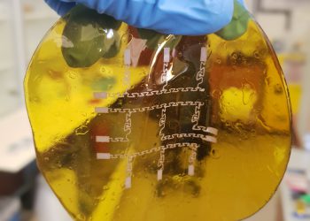 תמונה של מערך של מוליך רך ובר מתיחה. צילום: מוחמד ח'טיב וחוסם חאיק, הטכניון