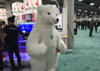 ביתן החדשנות של צרפת ב-CES 2019. צילום: אבי בליזובסקי