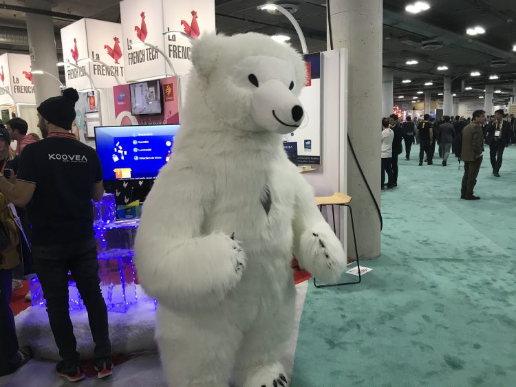 ביתן החדשנות של צרפת ב-CES 2019. צילום: אבי בליזובסקי