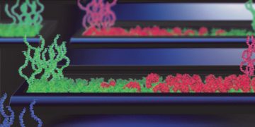 "מפעל חלבונים" על שבב. באדיבות מכון ויצמן