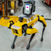 רובוטים שימפו את סביבת העבודה. צילום יחצ פורד