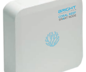 מוצר של חברת ברייט. צילום יחצ