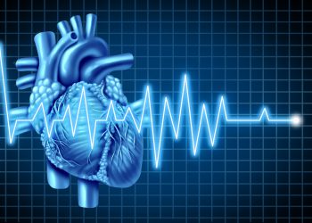 א.ק.ג המחשה: depositphotos.com