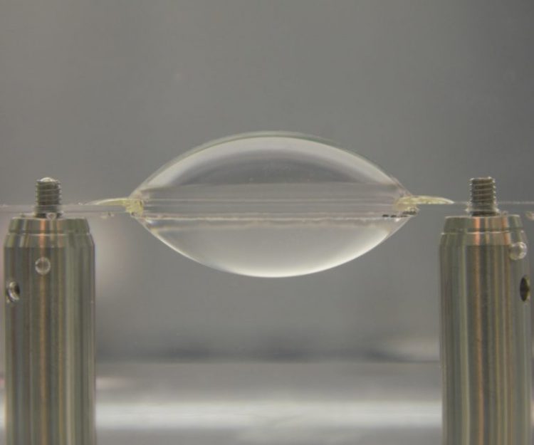 עדשות שפיתחו ד"ר פרומקין ופרופ' ברקוביץ בטכנולוגיה החדשה