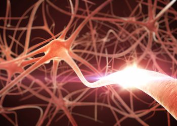 נוירונים. המחשה: depositphotos.com