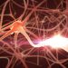 נוירונים. המחשה: depositphotos.com