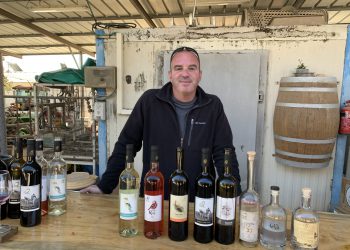 הינן הביישן