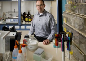 פרופסור אהוד גזית. צילום: אוניברסיטת תל אביב