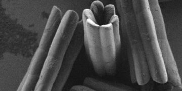 הגבישים החלולים תחת מיקרוסקופ אלקטרונים סורק. צילום: מכון ויצמן