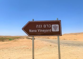 כן, גם בנגב אפשר לעשות יין טוב