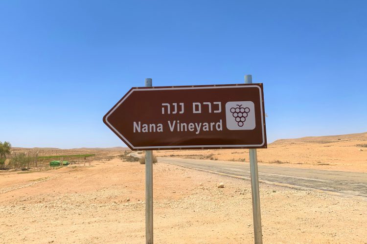 כן, גם בנגב אפשר לעשות יין טוב