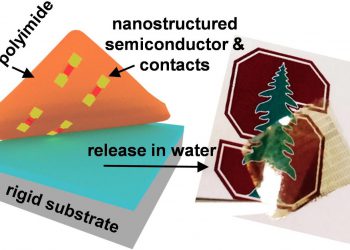 תיאור תהליך ההעברה עבור מוליך למחצה דו-מימדי ביחד עם מגעים ננו-מודפסים (משמאל) וצילום של מצע שקוף וגמיש עם המבנה שהועבר אליו (מימין) [באדיבות: Victoria Chen/Alwin Daus/Pop Lab]