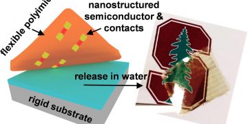 תיאור תהליך ההעברה עבור מוליך למחצה דו-מימדי ביחד עם מגעים ננו-מודפסים (משמאל) וצילום של מצע שקוף וגמיש עם המבנה שהועבר אליו (מימין) [באדיבות: Victoria Chen/Alwin Daus/Pop Lab]