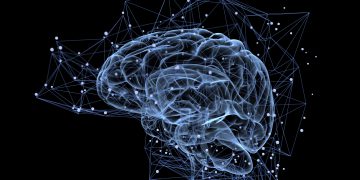 רשתות נוירונים במוח. אילוסטרציה: depositphotos.com