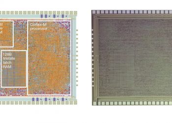 שבב ARM מפלסטיק. צילום CNX-Software