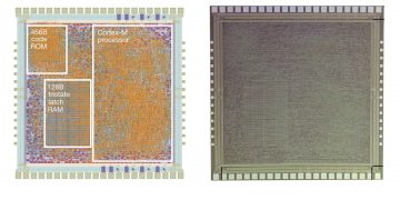 שבב ARM מפלסטיק. צילום CNX-Software