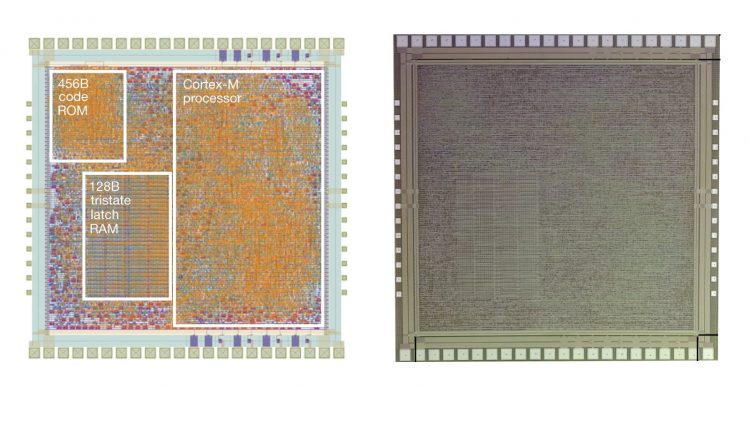 שבב ARM מפלסטיק. צילום CNX-Software