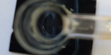 שבב היברידי. צילום - פרופ אוריאל לוי