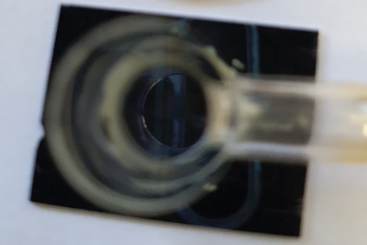 שבב היברידי. צילום - פרופ אוריאל לוי