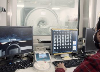 קרדיט: יח"צ פורד