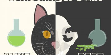 החתול של שרדינגר. אילוסטרציה: depositphotos.com