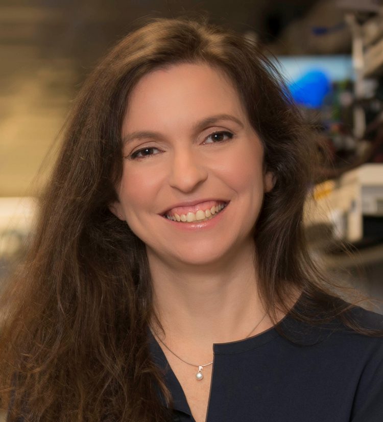 • קרין אייבשיץ-סגל, מנכ"לית מרכזי הפיתוח של אינטל ישראל, מונתה לסגנית נשיא תאגידי. צילום יחצ, אינטל